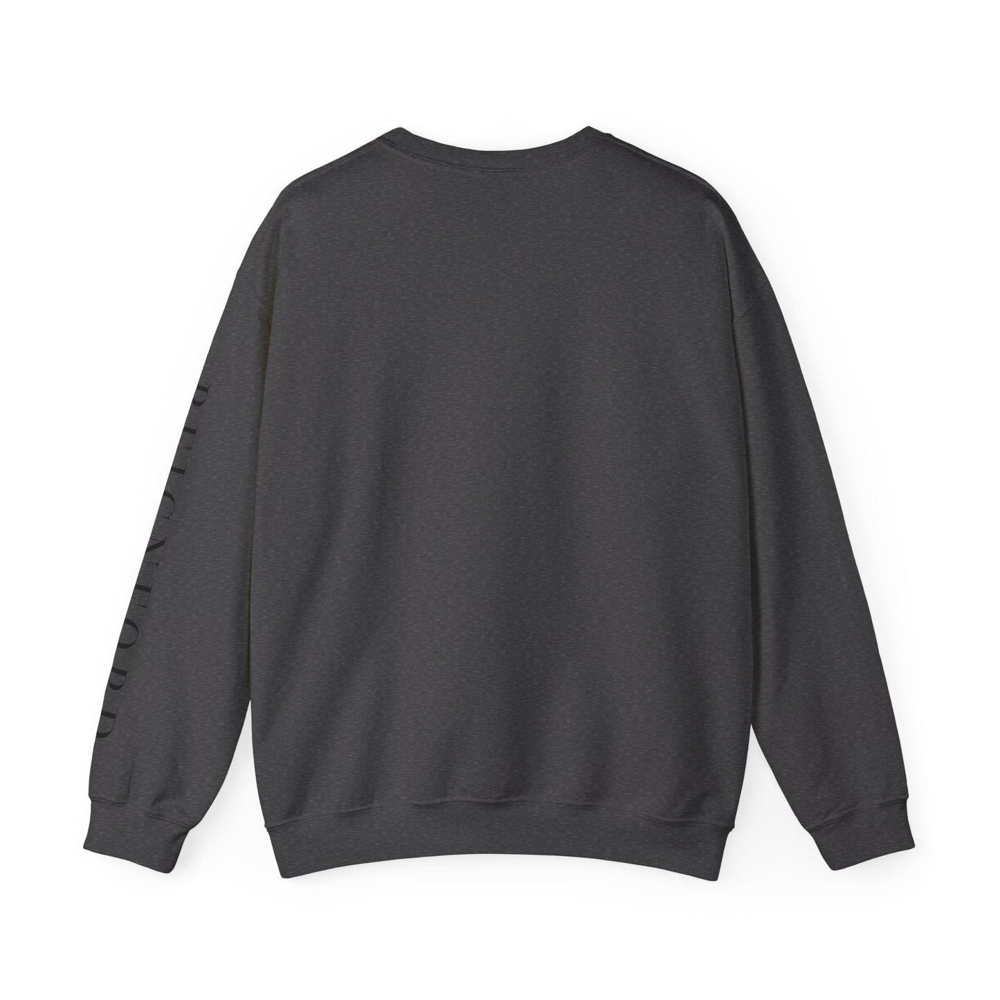 REIGNFORD SLEEVE | THE BRAND SWEATSHIRT