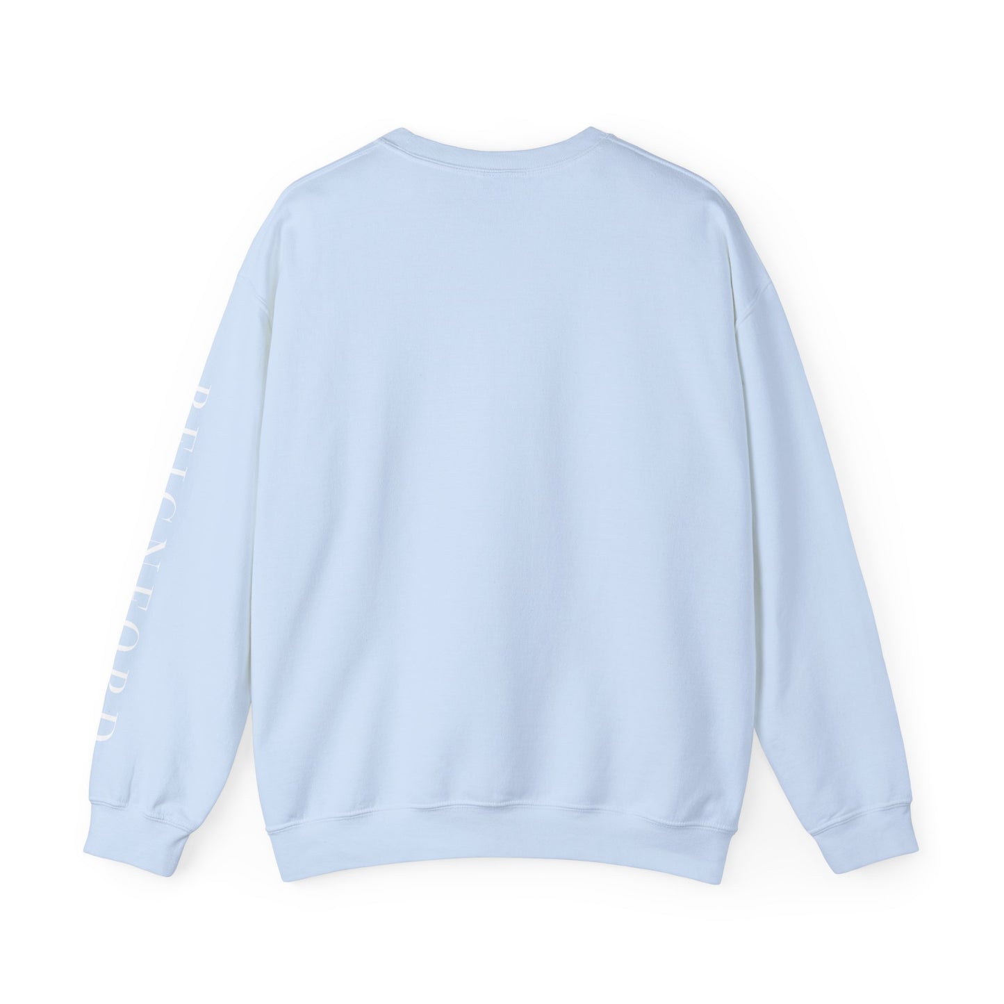 REIGNFORD SLEEVE | THE BRAND SWEATSHIRT