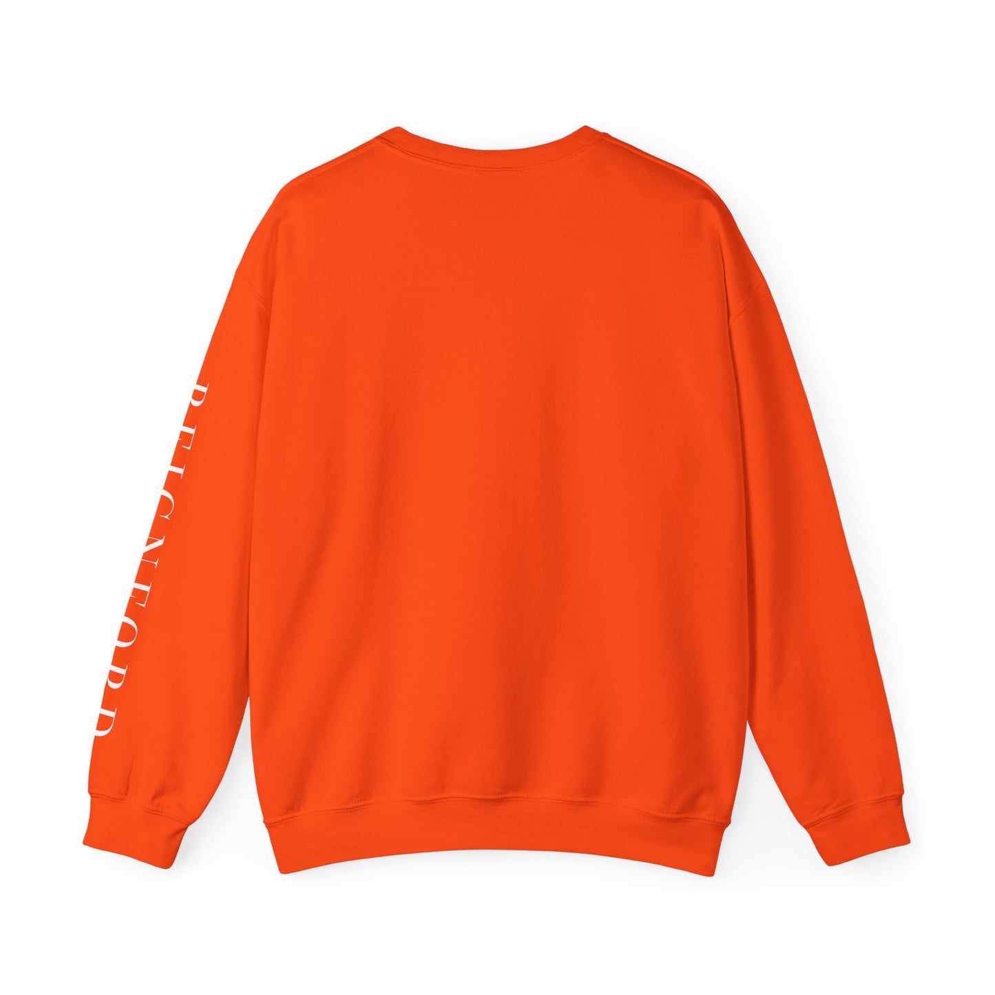 REIGNFORD SLEEVE | THE BRAND SWEATSHIRT