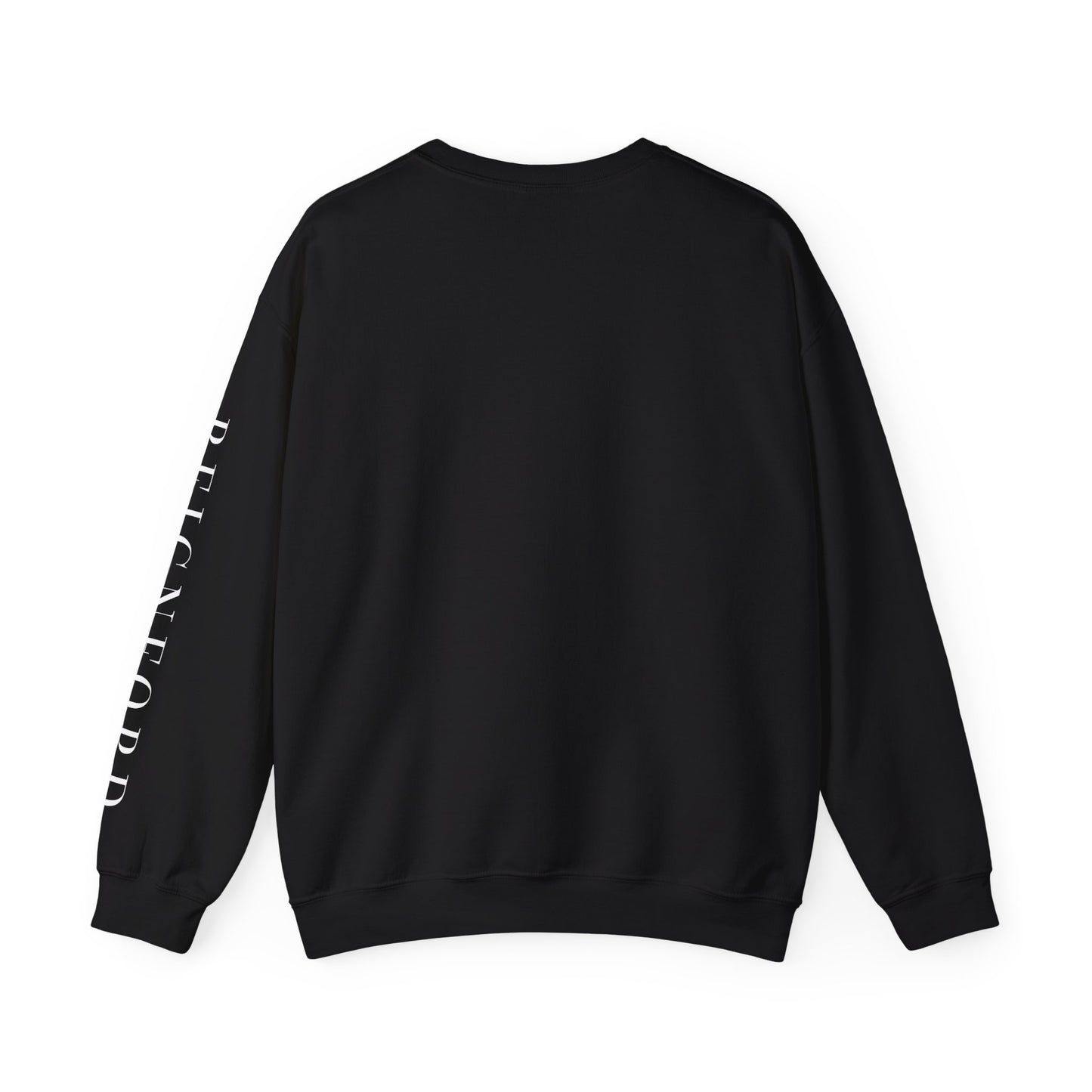 REIGNFORD SLEEVE | THE BRAND SWEATSHIRT